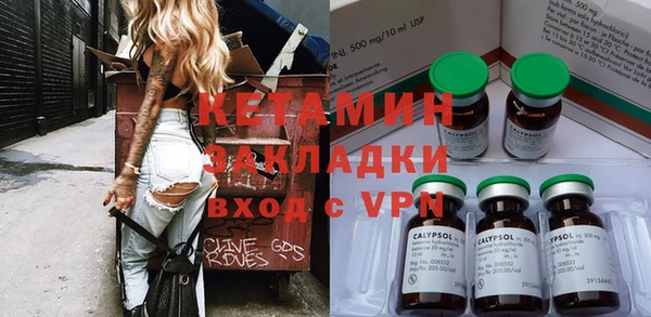 сатива Новокубанск