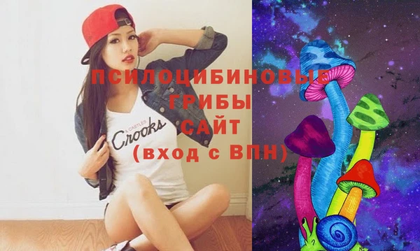 гидропоника Алексин