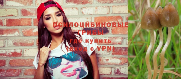 спайс Алексеевка